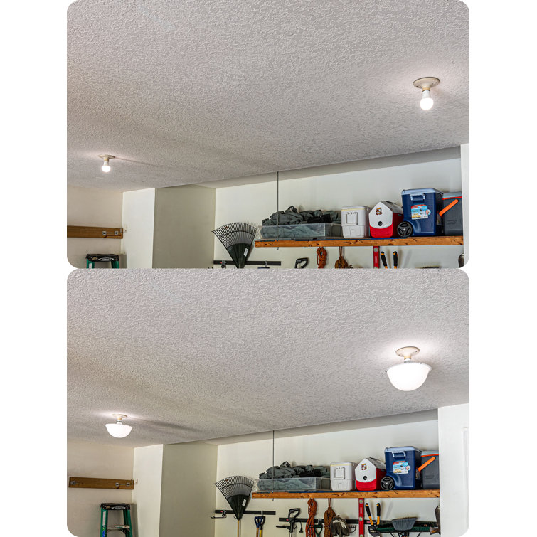 Wrought Studio Ceiling Light Cover, Light Bulb Cover, Exposed Light